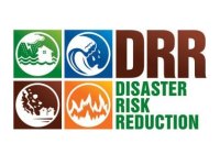 Boletim das RSCM na ONU  | 137