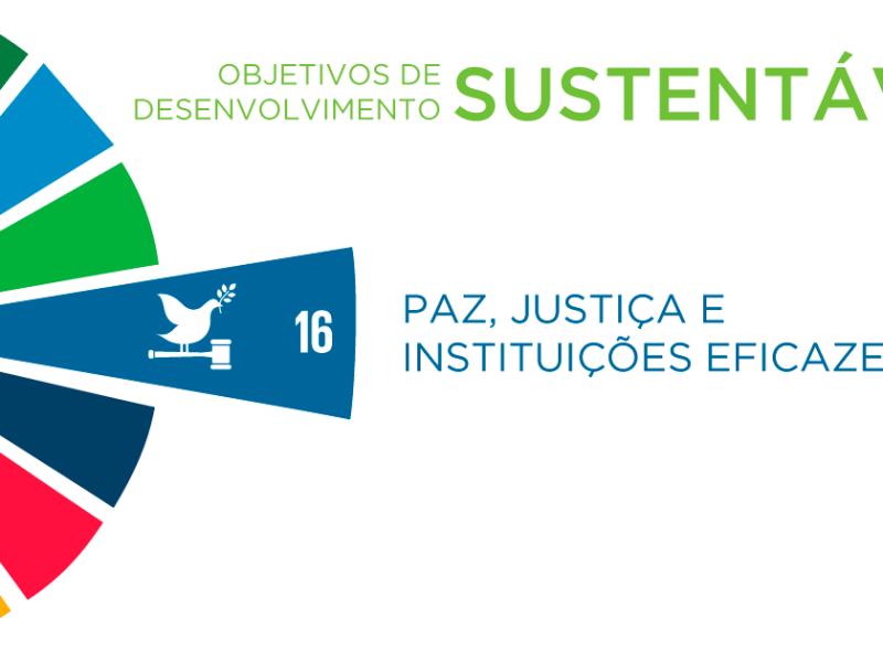 Boletim das RSCM na ONU  | 141