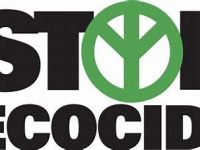 Boletim das RSCM na ONU  | 142