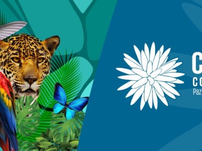 Boletim das RSCM na ONU  | 150