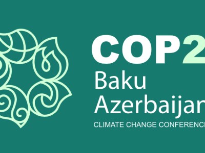 Boletim das RSCM na ONU  | 151