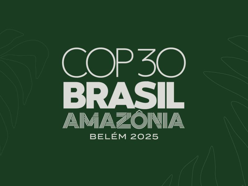 Boletim das RSCM na ONU  | 159